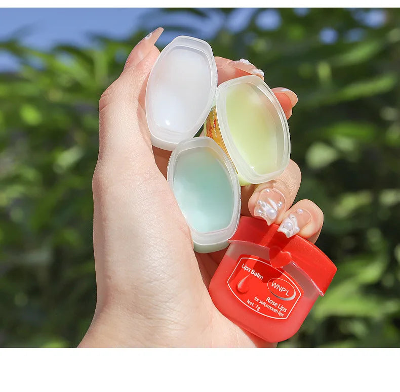 Moisturizing Lip Balm Set | 4/6/8pcs Natural Plant-Based Anti-Cracking Lip Care